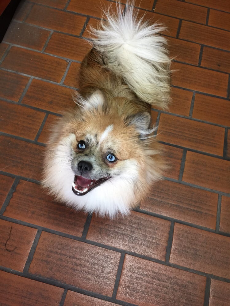 TRU TEC AUTO & ALIGNMENT Updated September 2024 15 Reviews 1947 Mears Pkwy, Margate