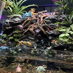 Aquarium Island