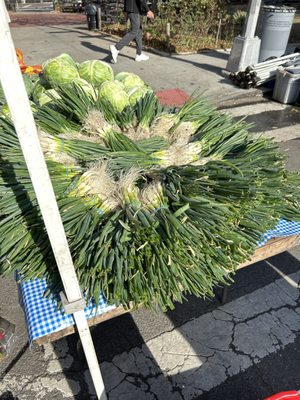 Forest Hills Greenmarket by null