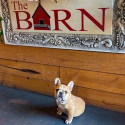 The Barn Florist & Mercantile Store