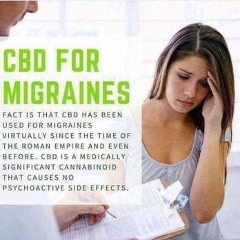 CBD American Shaman - Powell - Vitamins & Supplements Near Me - Powell, Tennessee CBD American Shaman - Powell - Vitamins & Supplements Near Me - Powell, Tennessee
