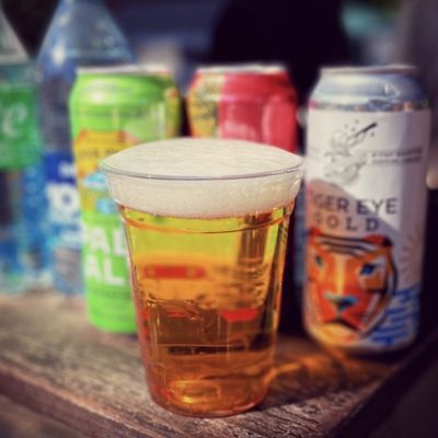 First Magnitude Brewing Company by null
