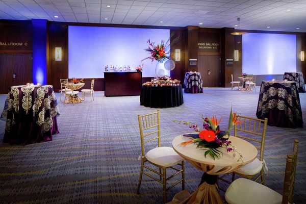 Hilton Albany by null