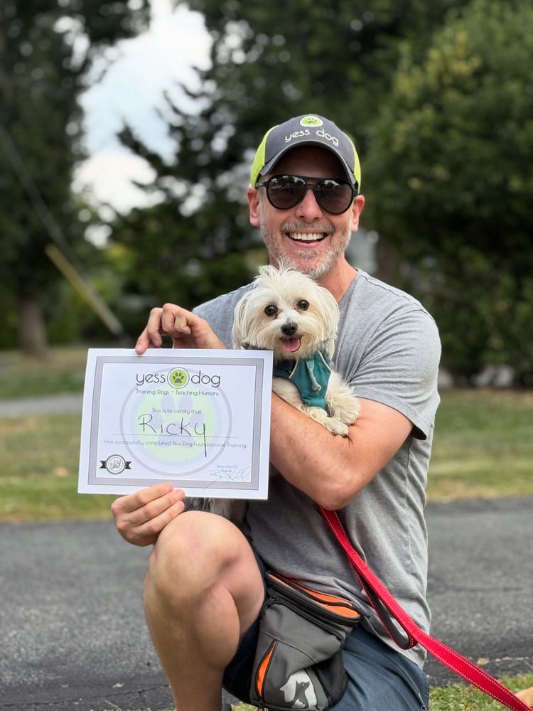 Yess Dog - pet boarding facility in Lake Hiawatha, NJ