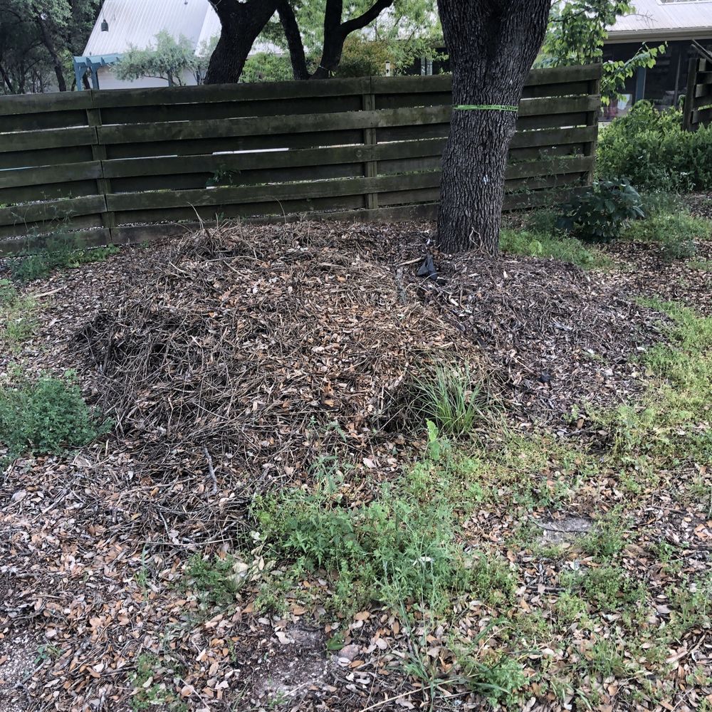 Simple Leaf Tree Care - Chipped mulch piled against mature oak trees - Tree Services Near Me - Wimberley, Texas Simple Leaf Tree Care - Chipped mulch piled against mature oak trees - Tree Services Near Me - Wimberley, Texas