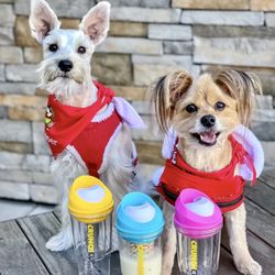 Mile Square Regional Park - IG @FoodandPooch