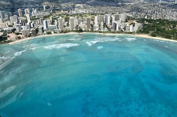 Blue Hawaiian Helicopters by null