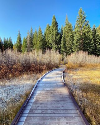 Big Cottonwood Canyon by null