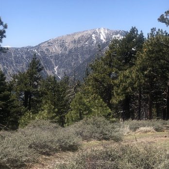 Blue Ridge Trail - Hiking Near Me - Wrightwood, California Blue Ridge Trail - Hiking Near Me - Wrightwood, California