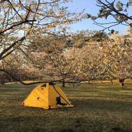 舘野公園キャンプ場 Campgrounds 六戸町犬落瀬柴山 上北郡 青森県 Japan Phone Number Yelp