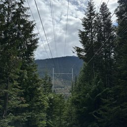 View from the end of the zip line looking back up. View from the end of the zip line looking back up.