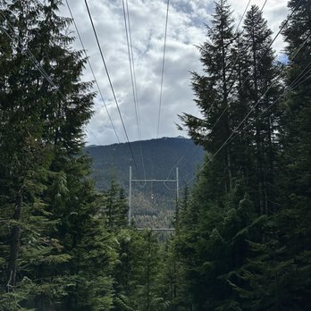 Ziptrek Ecotours - View from the end of the zip line looking back up. - Tours Near Me - Whistler, British Columbia Ziptrek Ecotours - View from the end of the zip line looking back up. - Tours Near Me - Whistler, British Columbia