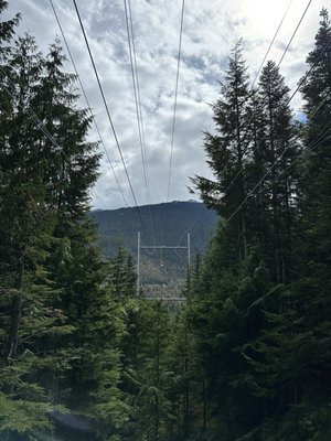 Ziptrek Ecotours by null