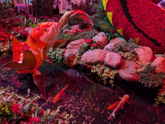 Bellagio Conservatory & Botanical Gardens by null