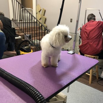 Hide 'A' Way - Pet Groomers Near Me - Raleigh, North Carolina