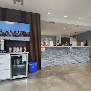 Palms & Paws Veterinary Center - Waiting room - Veterinarians Near Me - Santa Monica, California Palms & Paws Veterinary Center - Waiting room - Veterinarians Near Me - Santa Monica, California