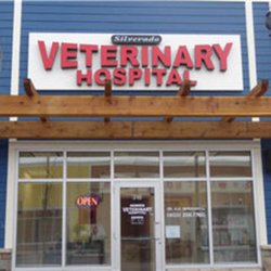 Silverado Veterinary Hospital - Photo