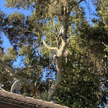 Sam's Tree Service - Amazing work - Tree Services Near Me - Creston, California