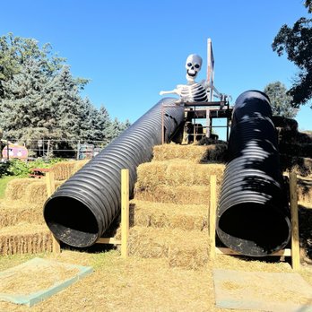 Jenny's Farmers Market - The hay bale slide to the side of the building. - Farmers Market Near Me - Dexter, Michigan Jenny's Farmers Market - The hay bale slide to the side of the building. - Farmers Market Near Me - Dexter, Michigan