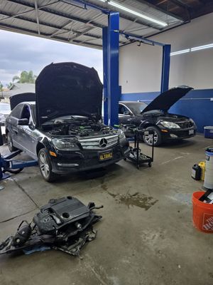 GERMAN MAKE SPECIALIST - I am as experienced as they come when it comes to German car knowledge. I have over 20 years of experience in the industry working with German automotive vehicles - I received Factory Mercedes Training while working For Pensk, DTLA Motors, and Beverly Hills Dealership.
If there's anyone you can trust with your Mercedes, BMW, Audi, Volkswagen, Porsche etc., I'm your guy! GERMAN MAKE SPECIALIST - I am as experienced as they come when it comes to German car knowledge. I have over 20 years of experience in the industry working with German automotive vehicles - I received Factory Mercedes Training while working For Pensk, DTLA Motors, and Beverly Hills Dealership.
If there's anyone you can trust with your Mercedes, BMW, Audi, Volkswagen, Porsche etc., I'm your guy!