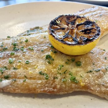 Eating House - Yellowtail snapper - Beer, Wine & Spirits Near Me - Miami, Florida Eating House - Yellowtail snapper - Beer, Wine & Spirits Near Me - Miami, Florida