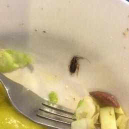 This place is so dirty and filthy. Do no eat here! This place is so dirty and filthy. Do no eat here!