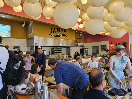 Dart Coffee Co by null