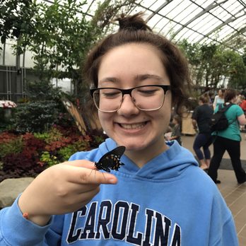 Butterfly Show at Krohn Conservatory - Local Flavor Near Me - Cincinnati, Ohio Butterfly Show at Krohn Conservatory - Local Flavor Near Me - Cincinnati, Ohio