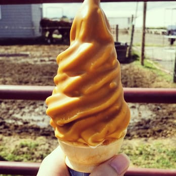 Scoups Homemade Ice Cream - Vanilla soft serve in peanut butter dip (so creamy smooth!) - Ice Cream & Frozen Yogurt Near Me - Albany, New York