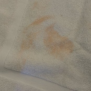 NoMi Getaways - Blood on a Bathmat. I've done laundry long enough to know this was blood. Disgusting. - Vacation Rentals Near Me NoMi Getaways - Blood on a Bathmat. I've done laundry long enough to know this was blood. Disgusting. - Vacation Rentals Near Me