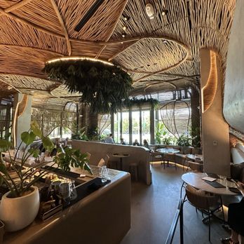 Cantina Monarca - Cocktail Bars Near Me - Bellevue, Washington