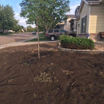 Alameda Landscaping - Front yard getting ready for sod - Landscaping Near Me Alameda Landscaping - Front yard getting ready for sod - Landscaping Near Me