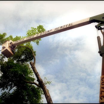 Drye's Tree & Stump - Tree Services Near Me - Alexis, North Carolina Drye's Tree & Stump - Tree Services Near Me - Alexis, North Carolina