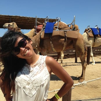 Cabo Adventures - My camel friend. I forgot his name but I named him Geronimo for this occasion. - Boat Tours Near Me - Cabo San Lucas, BCS