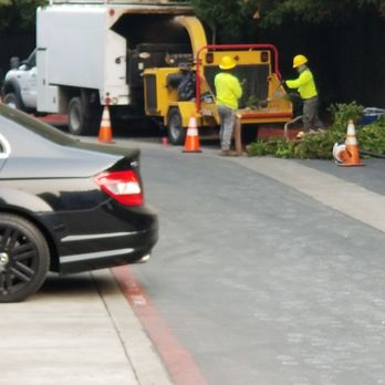 JMV Tree Service - Tree Services Near Me - Hayward, California JMV Tree Service - Tree Services Near Me - Hayward, California