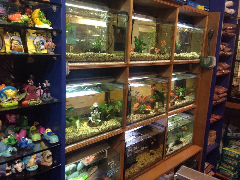 WARRINGAH MALL PET SHOP Warringah Mall, Brookvale New South Wales