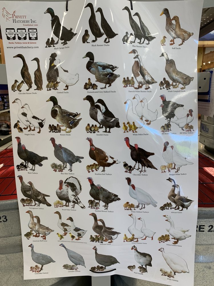 WILCO FARM STORE OREGON CITY Updated September 2024 20 Photos