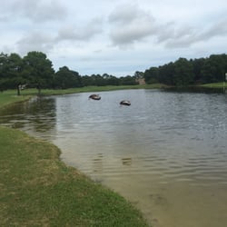 Cotton Creek Club - Ducks at hole #7.