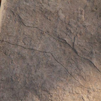 Western Concrete Designs - Masonry/Concrete Near Me Western Concrete Designs - Masonry/Concrete Near Me