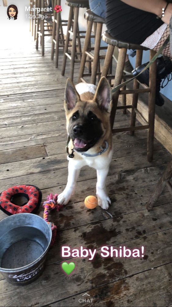 ALOHA BAY TIKI BAR 31 Reviews 306 Cedar Brook Rd, Sicklerville, New