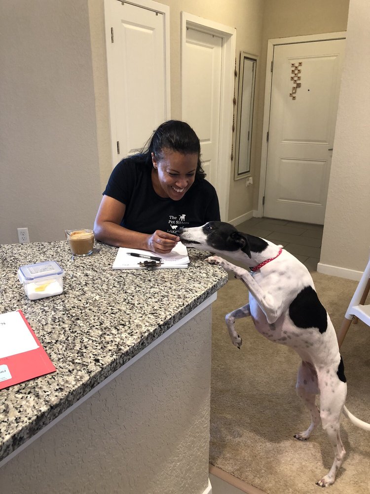 THE PET SITTERS OF LAKE NONA Orlando, Florida Dog Walkers Phone
