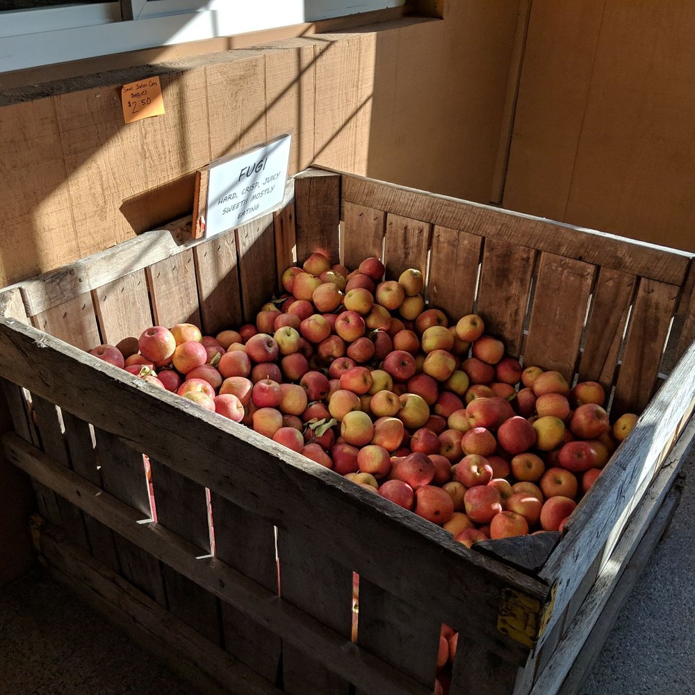 Ritter's Cider Mill - Fruits & Veggies Near Me - Mt Cobb, Pennsylvania Ritter's Cider Mill - Fruits & Veggies Near Me - Mt Cobb, Pennsylvania