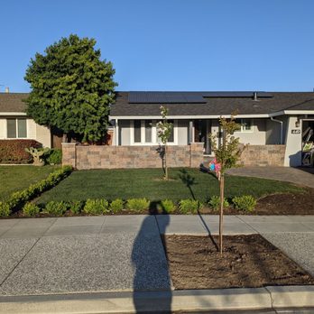 La Sierra Quality Landscape - New sod & boxwood hedge - Landscaping Near Me - San Martin, California La Sierra Quality Landscape - New sod & boxwood hedge - Landscaping Near Me - San Martin, California