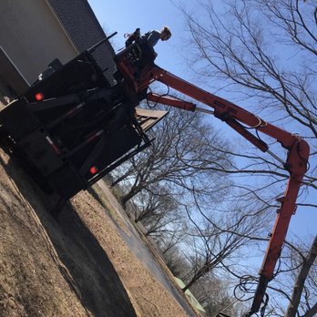 Tree Pro - Tree Services Near Me - Killen, Alabama