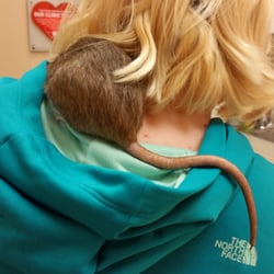 Pet Stores In Radcliff Yelp