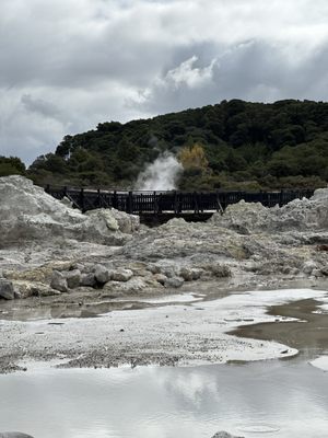 Hell's Gate Geothermal Reserve and Mud Spa by null