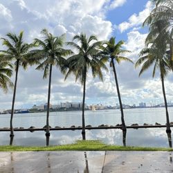 Bayfront Park - Look at that view though