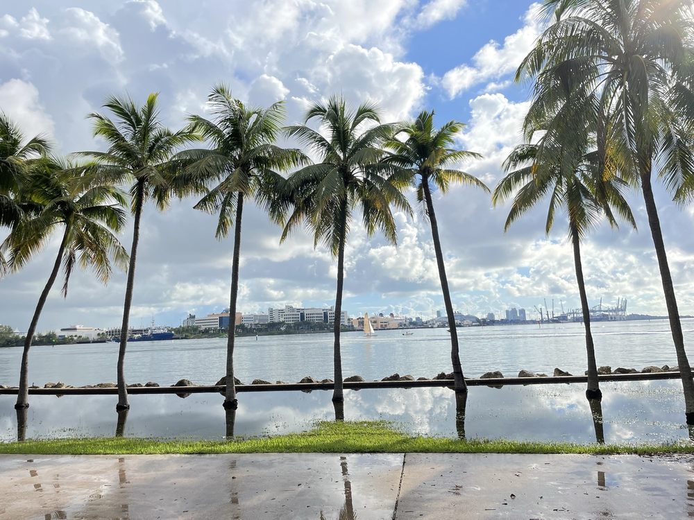 Bayfront Park Image