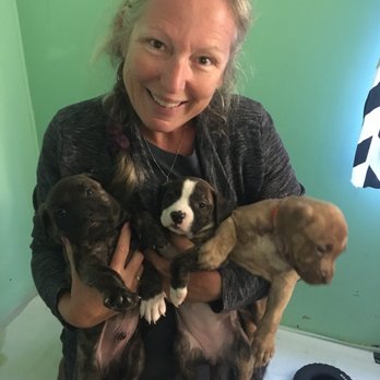 Karen Roberts ManaDoula - Puppies and babies! - Doulas Near Me Karen Roberts ManaDoula - Puppies and babies! - Doulas Near Me