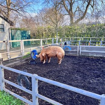 Dublin Zoo - Zoos Near Me - Dublin, D Dublin Zoo - Zoos Near Me - Dublin, D
